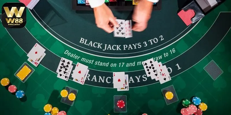 Các thuật ngữ quan trọng cần biết