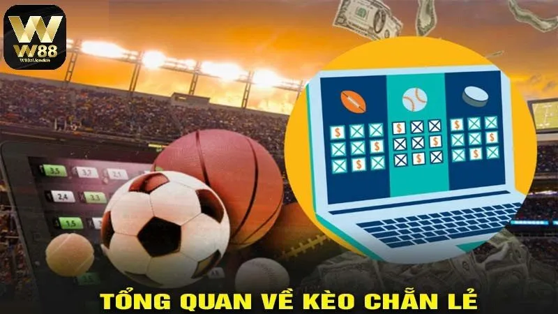 Kèo chẵn lẻ là gì tại sao hấp dẫn người mới